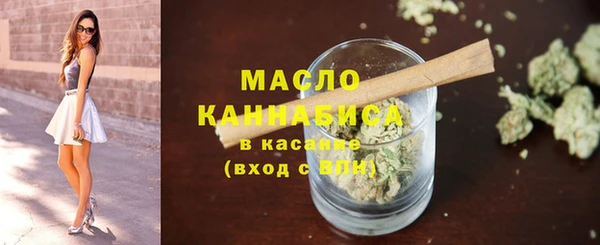 мдпв Богородицк