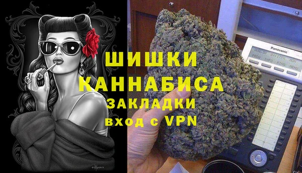 мдпв Богородицк