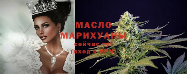 мдпв Богородицк
