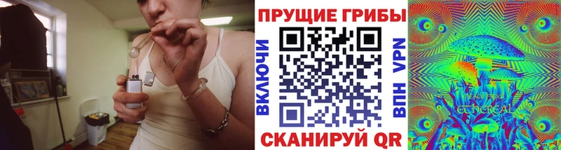Купить закладки  Шарья  Галлюциногенные грибы ЛСД 