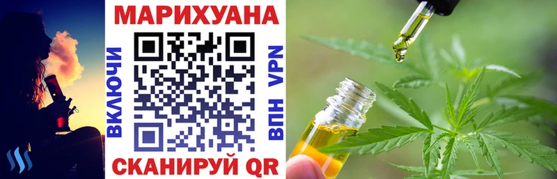 Бошки марихуана гибрид  Купить закладки  Шарья 